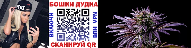 Где найти наркотики Курильск Каннабис  Амфетамин  ГАШ  APVP 