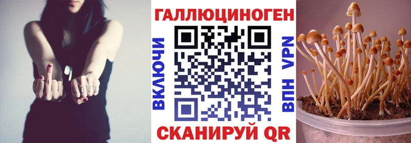 Галлюциногенные грибы Cubensis  что такое наркотик  Курильск 